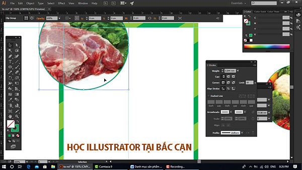 Học vẽ illustrator