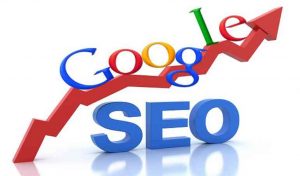 Học seo website