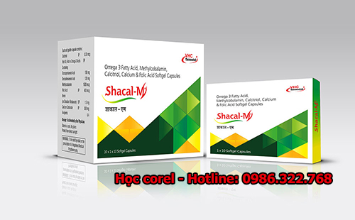 Học corel thiết kế hộp