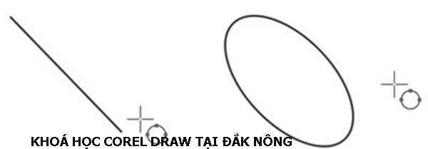 Khoá học Corel Draw tại Đắk Nông