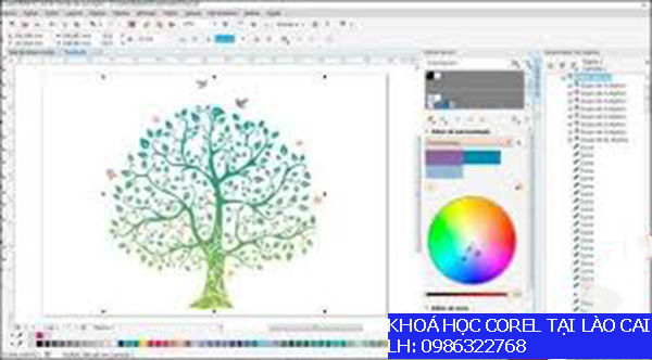 Khoá học Corel tại Lào Cai