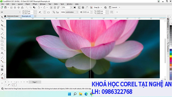 Khoá học Corel tại Nghệ An. 