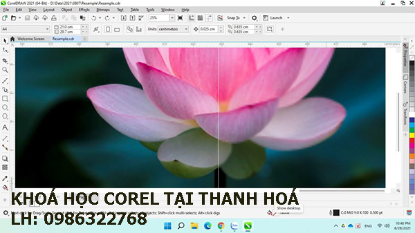 Khoá học Corel tại Thanh Hoá. 