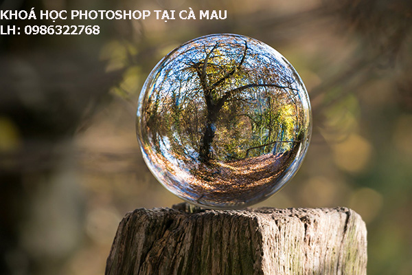 Khoá học Photoshop tại Cà Mau