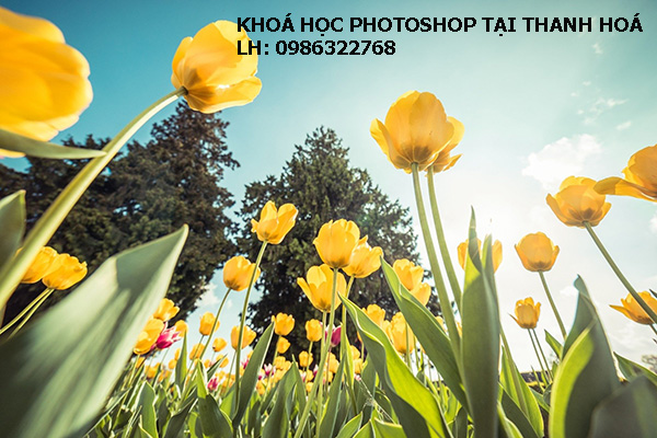 Khoá học Photoshop tại Thanh Hoá