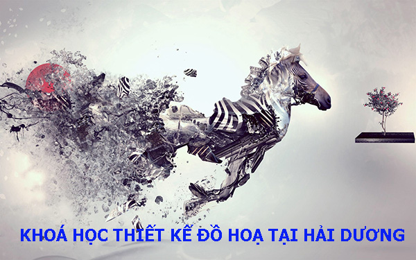 Khoá học thết kế đồ hoạ tại Hải Dương