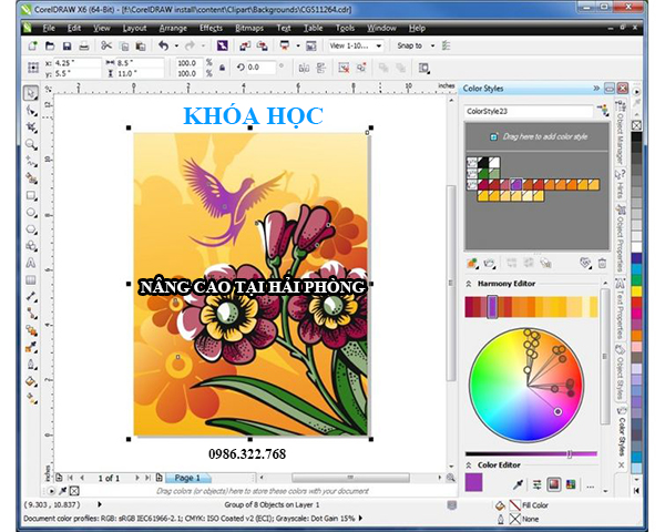 Khóa học corel cơ bản tháng 2 năm 2020 tại Hải Phòng