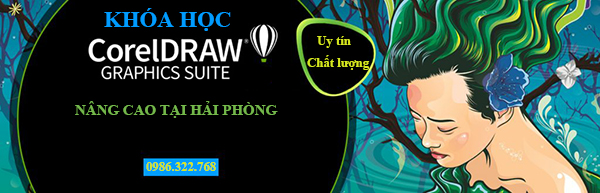 Khóa học corel nâng cao tháng 2 năm 2020 tại Hải Phòng