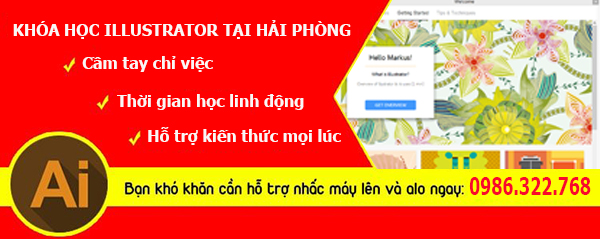 Tuyển sinh lớp học illustrator tháng 5 năm 2020 tại Hải Phòng