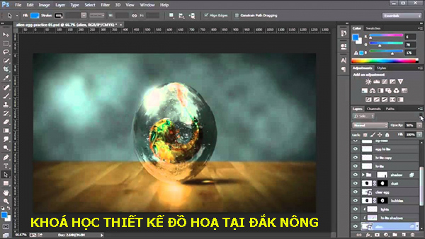 Khóa học thiết kế đồ hoạ tại Đắk Nông