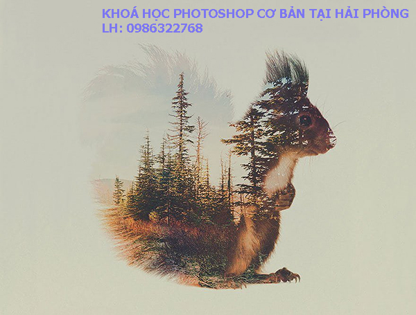 Khoá học photoshop cơ bản cho người mới bắt đầu tại Hải Phòng